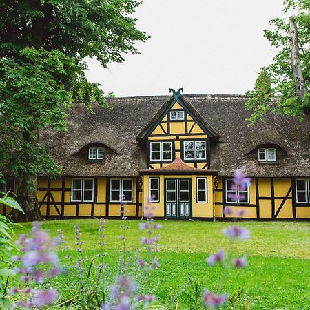 Herrenhaus Gut Dorotheenthal 담프 외부 사진