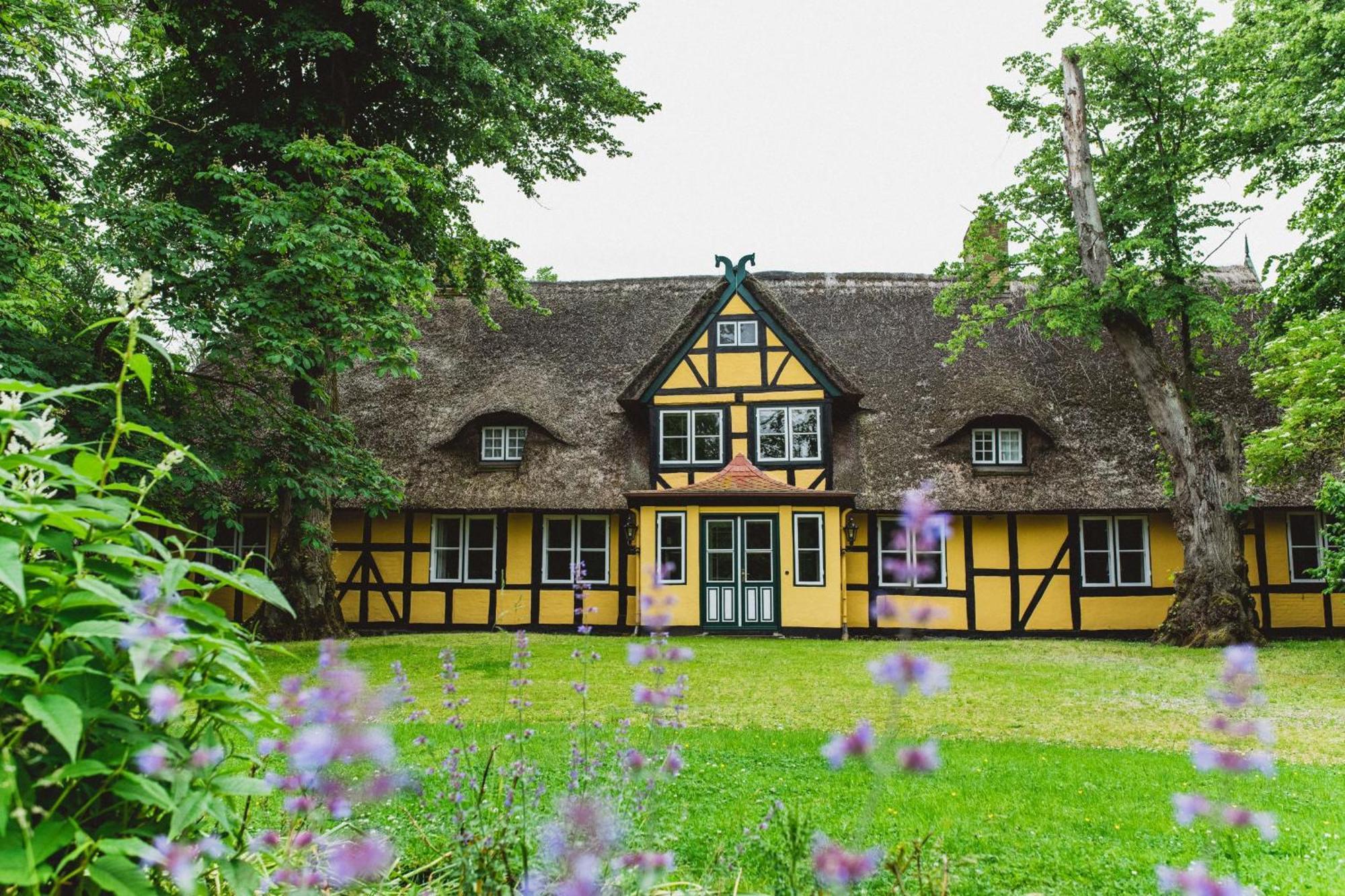 Herrenhaus Gut Dorotheenthal 담프 외부 사진